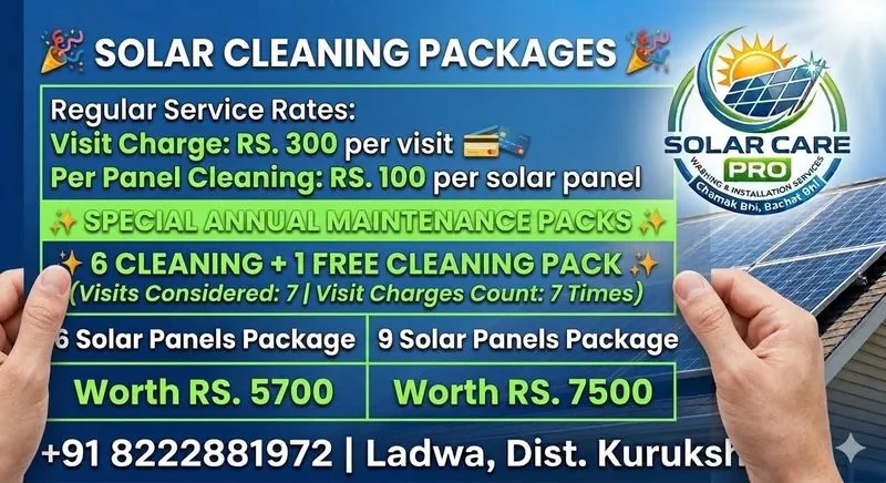 Professional before and after solar panel cleaning